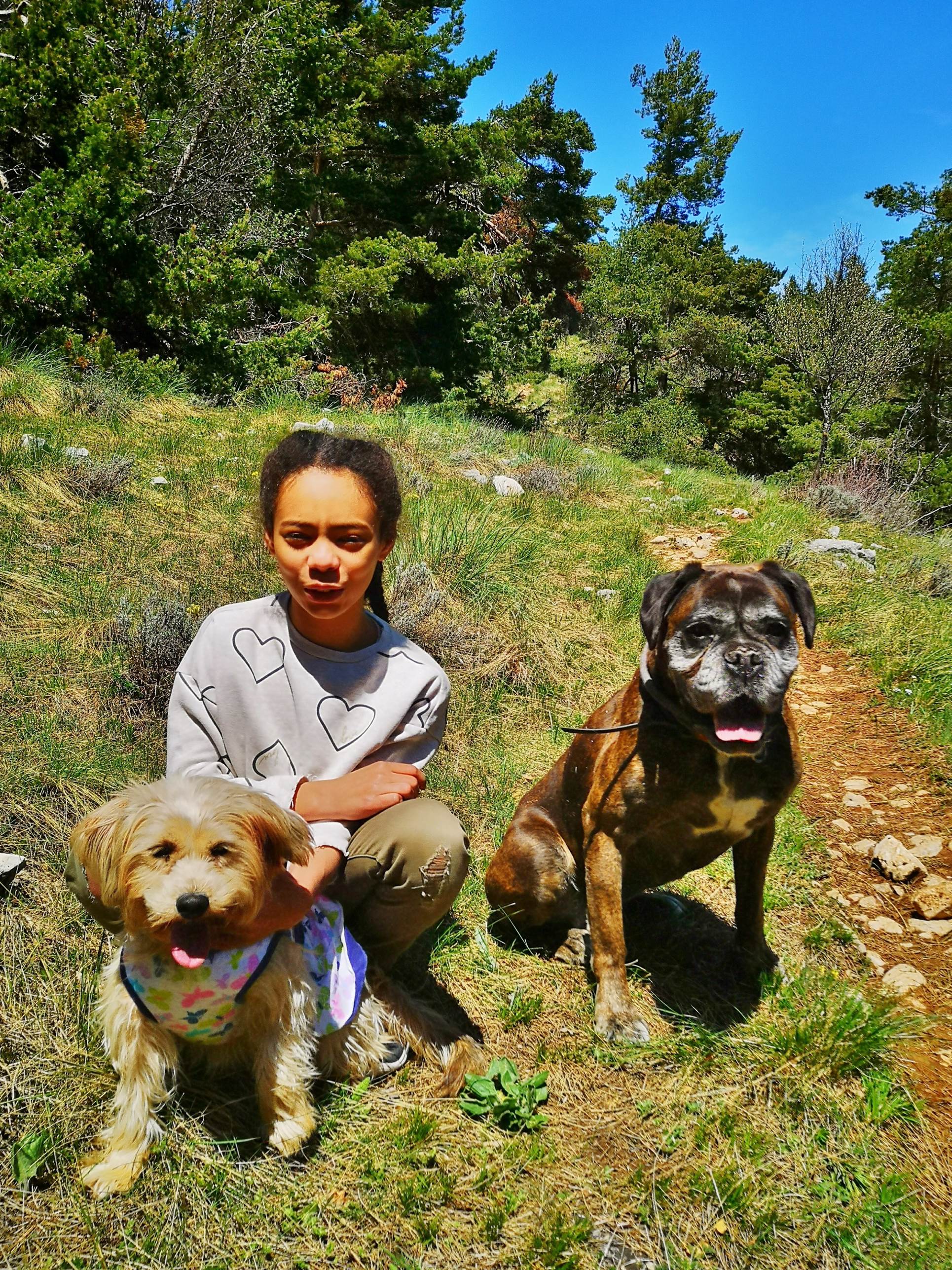 Une image contenant chien, arbre, herbe, extrieur

Description gnre automatiquement