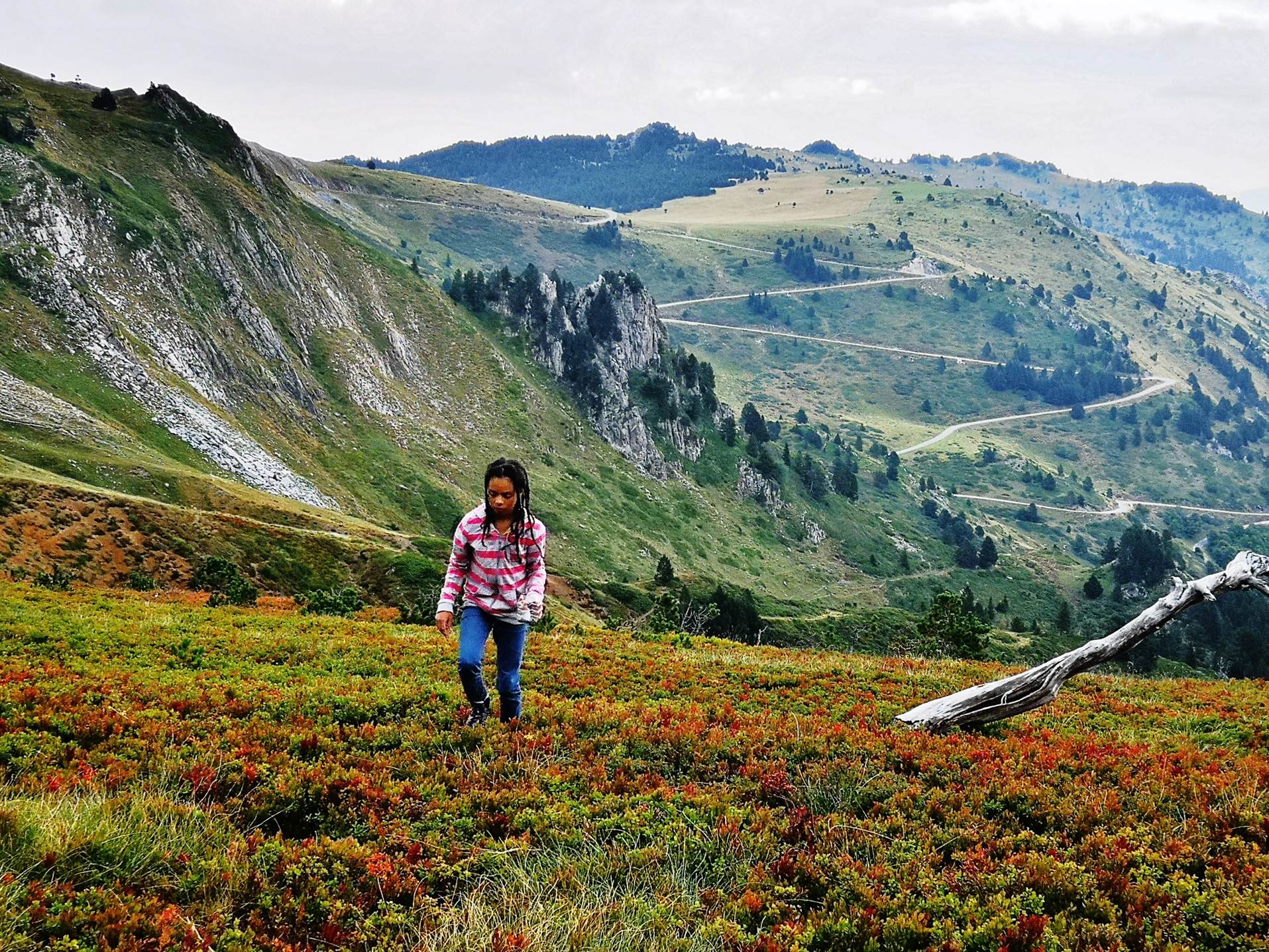 Une image contenant herbe, extrieur, montagne, nature

Description gnre automatiquement