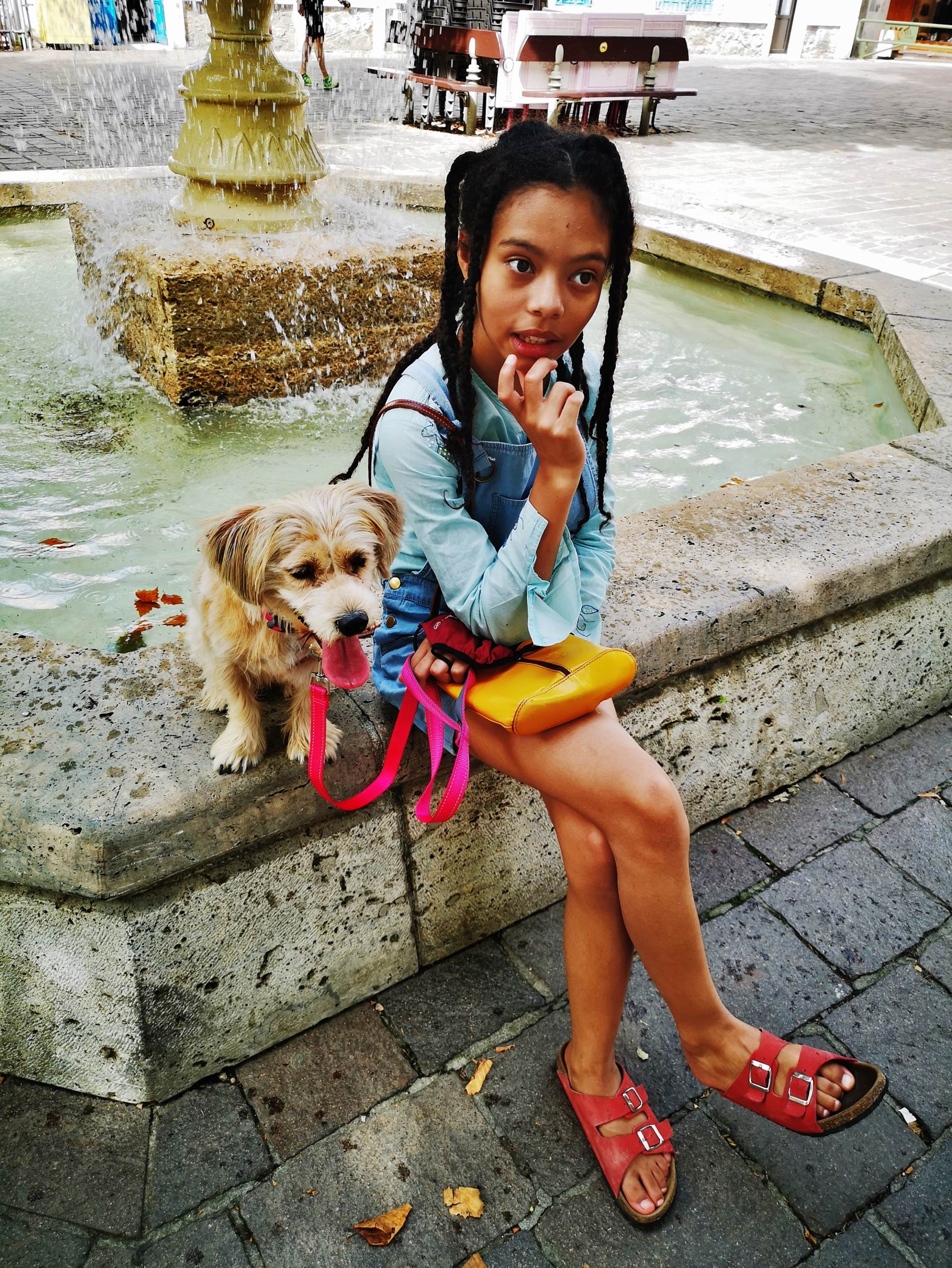 Une image contenant extrieur, chien, terrain, personne

Description gnre automatiquement