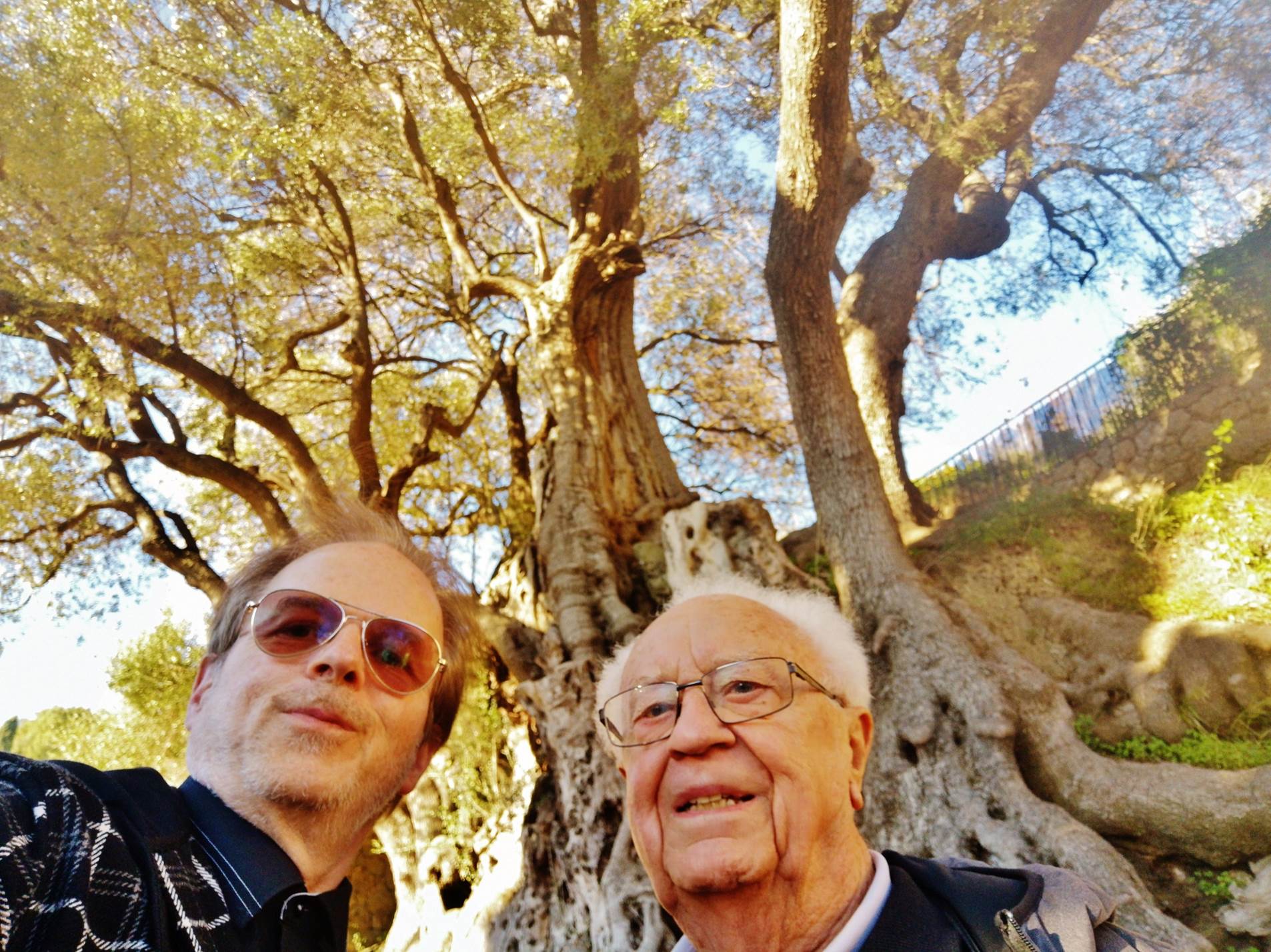 Une image contenant arbre, extrieur, personne, homme

Description gnre automatiquement